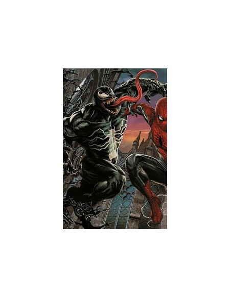 SPIDER-MAN 894 AMAZING VISIONS VARIANT DI LEE BERMEJO (N°13) - AMAZING SPIDER-MAN 17