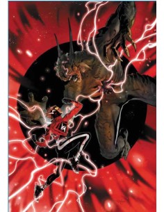 ABSOLUTE FLASH 12