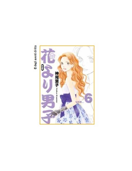 HANA YORI DANGO ULTIMATE DELUXE EDITION 6 (di 20)