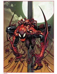 SPIDER-MAN 898 - AMAZING SPIDER-MAN 19