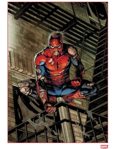 SPIDER-MAN 899 - AMAZING SPIDER-MAN 20