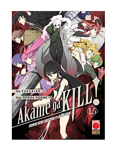 AKAME GA KILL! 1.5 NIGHT RAID STORIES & EPILOGUE
