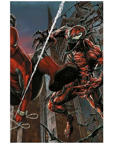 SPIDER-MAN 895 AMAZING VISIONS VARIANT DI LEE...