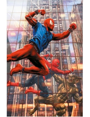 SPIDER-MAN 896 AMAZING VISIONS VARIANT DI LEE...