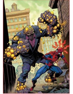 SPIDER-MAN 901 - AMAZING SPIDER-MAN 21