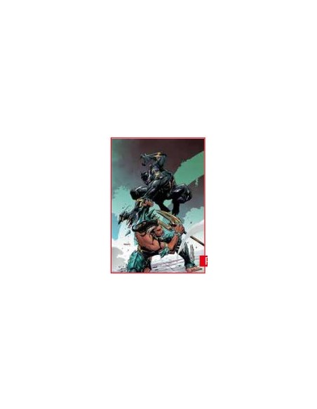 MARVEL RIVALS: DUELLO FRA RE