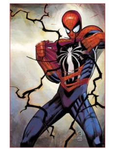 MARVEL MASTERSERIES SPIDER-MAN: BRAND NEW DAY 3 NUOVI...