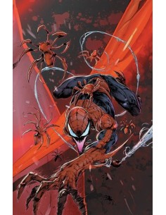 SPIDER-MAN 898 CONNECTING VARIANT 9 (di 9) - AMAZING...