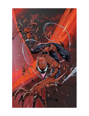 SPIDER-MAN 898 CONNECTING VARIANT 9 (di 9) -...