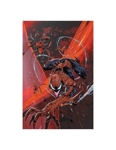 SPIDER-MAN 898 CONNECTING VARIANT 9 (di 9) - AMAZING SPIDER-MAN 19
