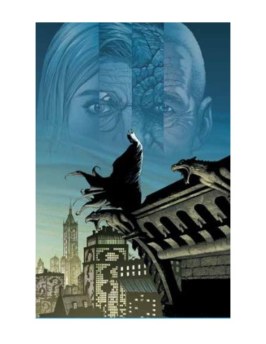 BATMAN: TERRA UNO - DC POCKET COLLECTION