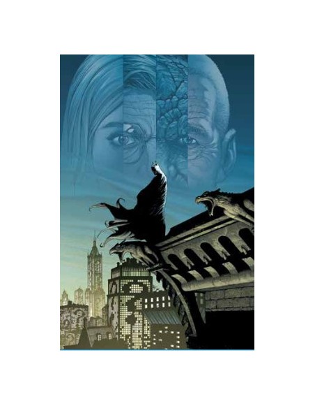 BATMAN: TERRA UNO - DC POCKET COLLECTION