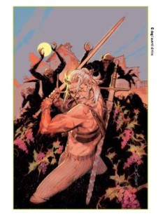 THE WITCHER OMNIBUS 3