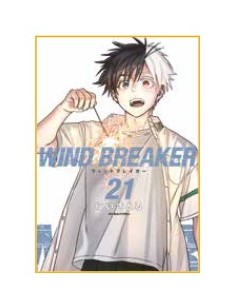 WIND BREAKER 21