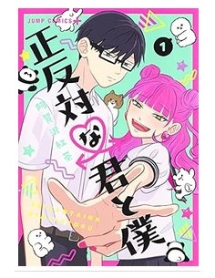 YOU AND I ARE POLAR OPPOSITES BOX (vol. 1-4)