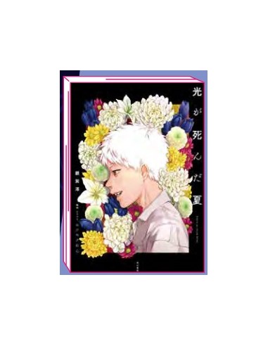 L`ESTATE IN CUI HIKARU E` MORTO - LIGHT NOVEL 1