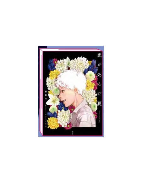 L`ESTATE IN CUI HIKARU E` MORTO - LIGHT NOVEL 1