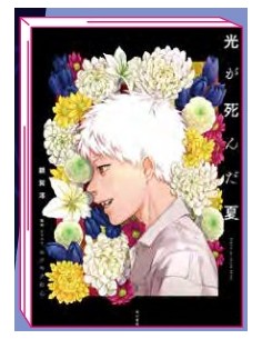 L`ESTATE IN CUI HIKARU E` MORTO - LIGHT NOVEL 2