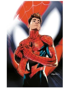 SPIDER-MAN 900 VARIANT - SPECTACULAR SPIDER-MAN BRAND NEW...