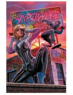 SPIDER-MAN 901 AMAZING VISIONS VARIANT DI LEE BERMEJO...