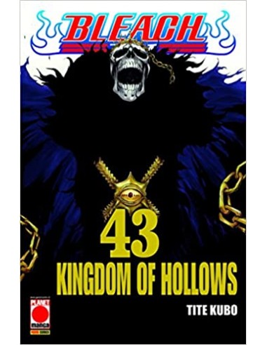 BLEACH RISTAMPA 43