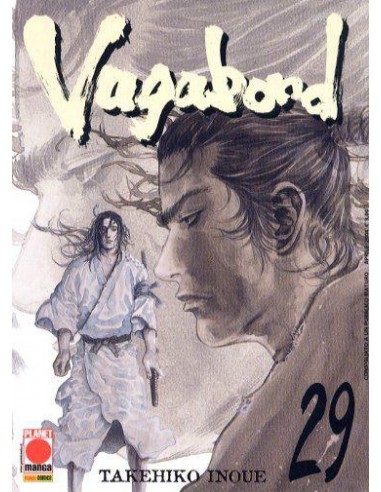 VAGABOND 29