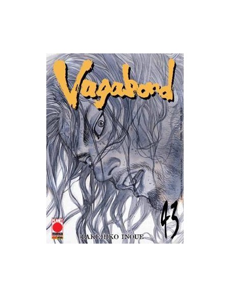 VAGABOND 43