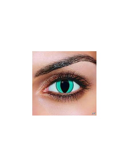 CAT AQUA LENTI A CONTATTO GIORNALIERE