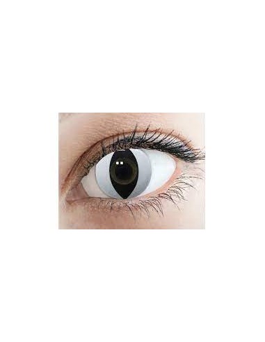 CAT WHITE LENTI A CONTATTO GIORNALIERE