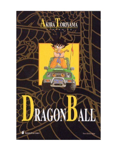 DRAGON BALL BOOK 13