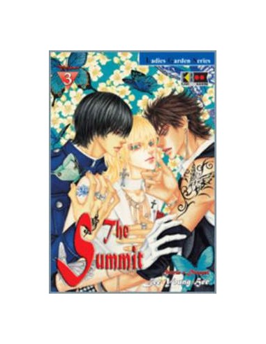 THE SUMMIT 3